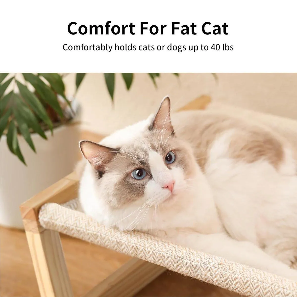 Comfortable Solid Pine Wood Pet Bed Raised Breathable Rectangular Cat Sleep
