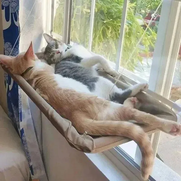 Cozy Window Hammock for Pets with Pet Hammock Window Design