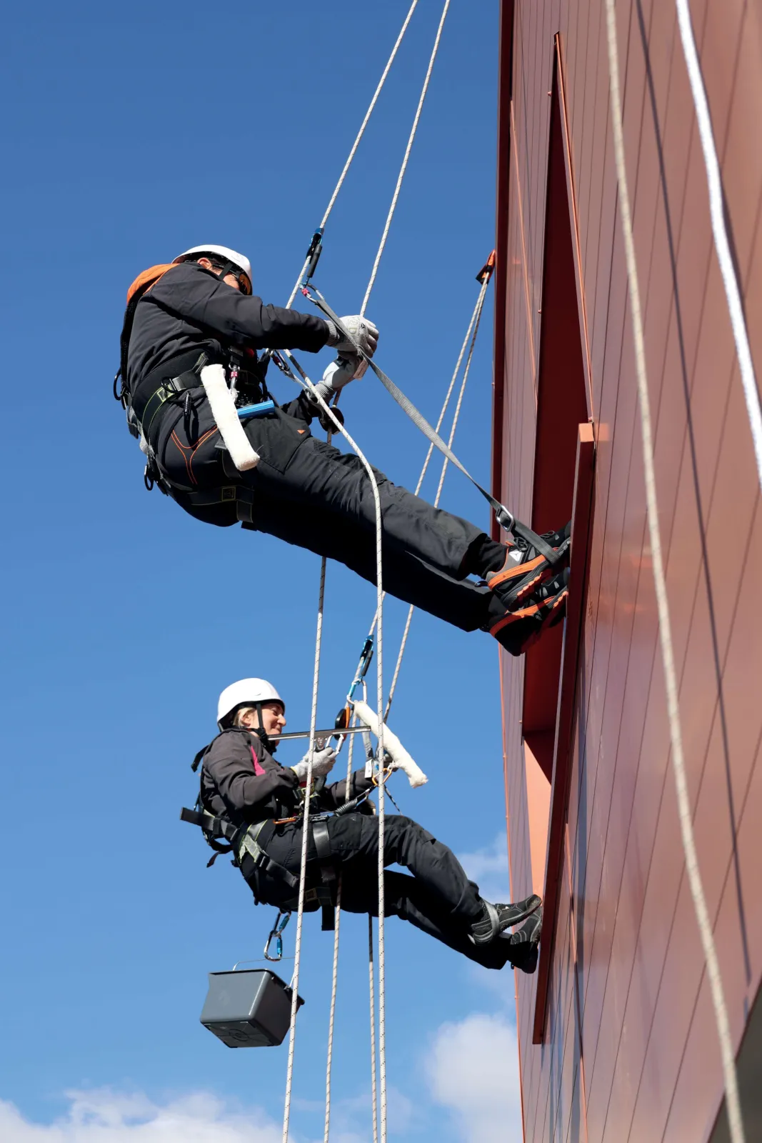 Delta Plus JAGUAR 2 HAR36R – Advanced Fall Arrest & Suspension Harness | Ergonomic & High-Performance