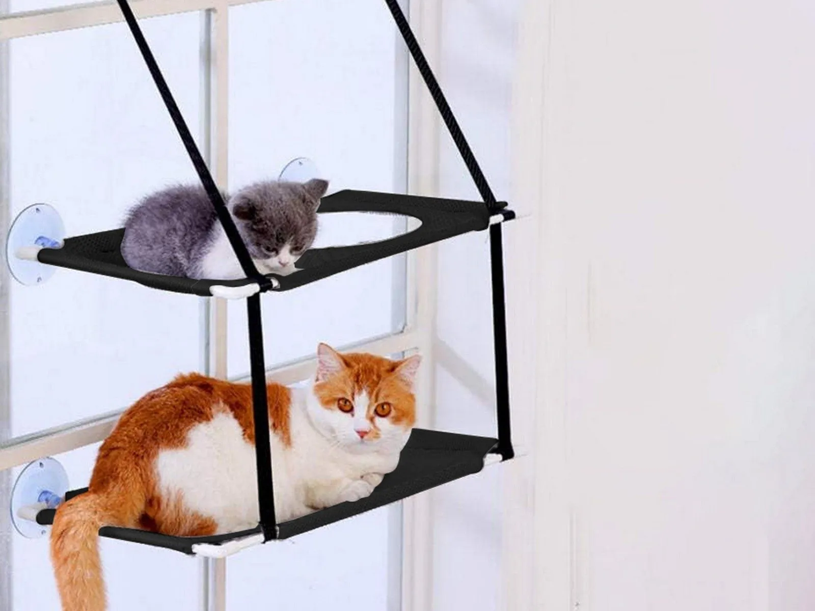 Double Bed Cat Black - Layer Hammock Reduced prices Clean-lined Hanging Summer