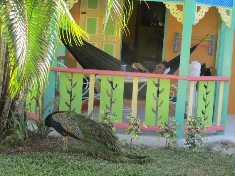 Expedition Parachute Double Hammock for Camping, Home, and Travel