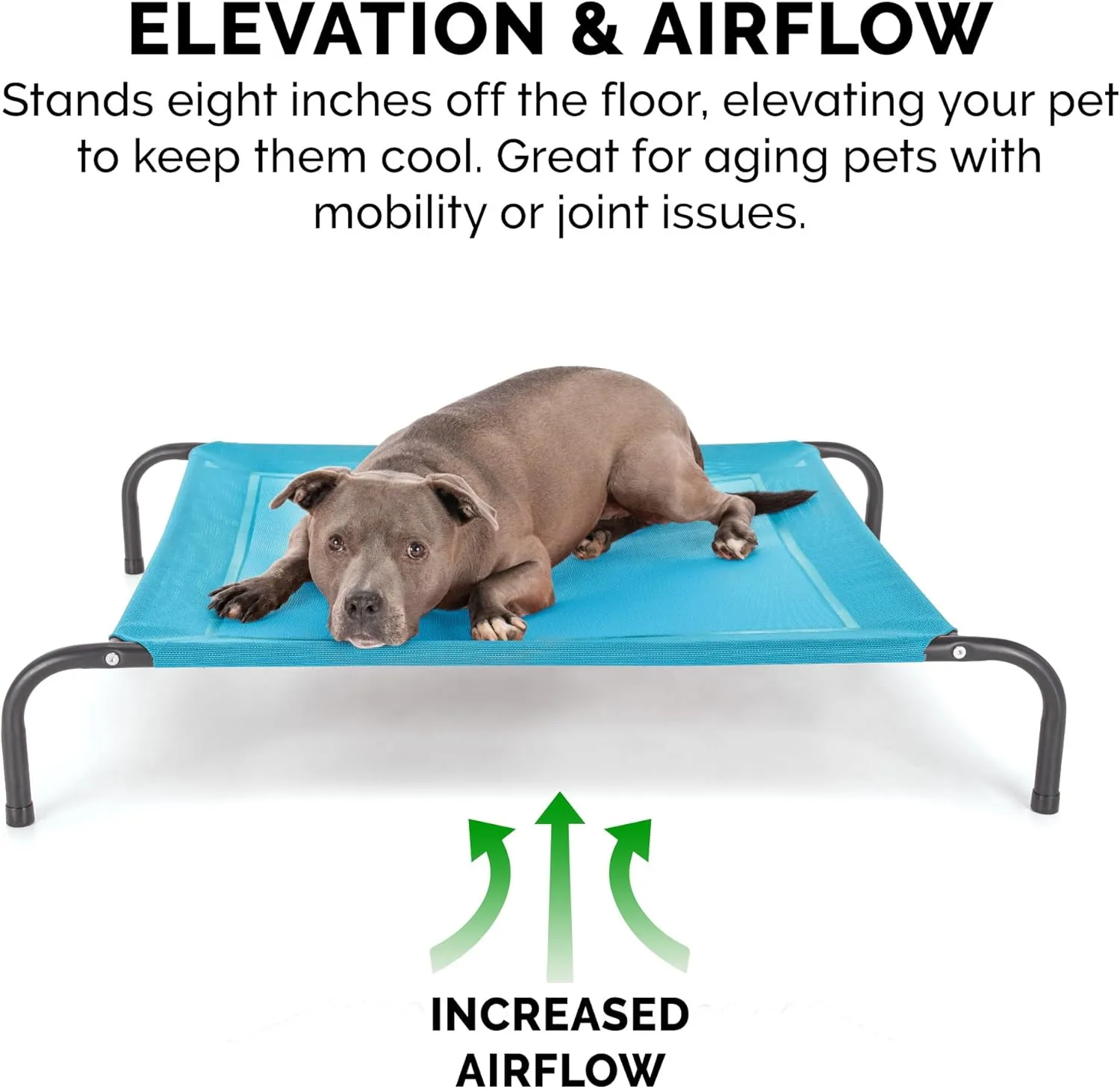 FurHaven Elevated Pet Cots - Cooling & Breathable Nylon Mesh Hammock for Large Dogs/Easy-to-Assemble / / Durable and Reinforced/Perfect for Rest & Relaxation Outdoors - Capri Blue, Large