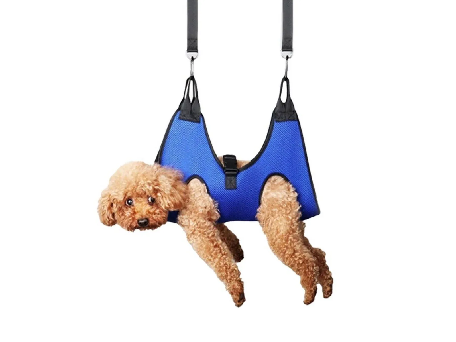 Hammock Blue Helper Set Grooming Grooming Nail Pet M Multi-zone Pet High-quality Trimming for Harness