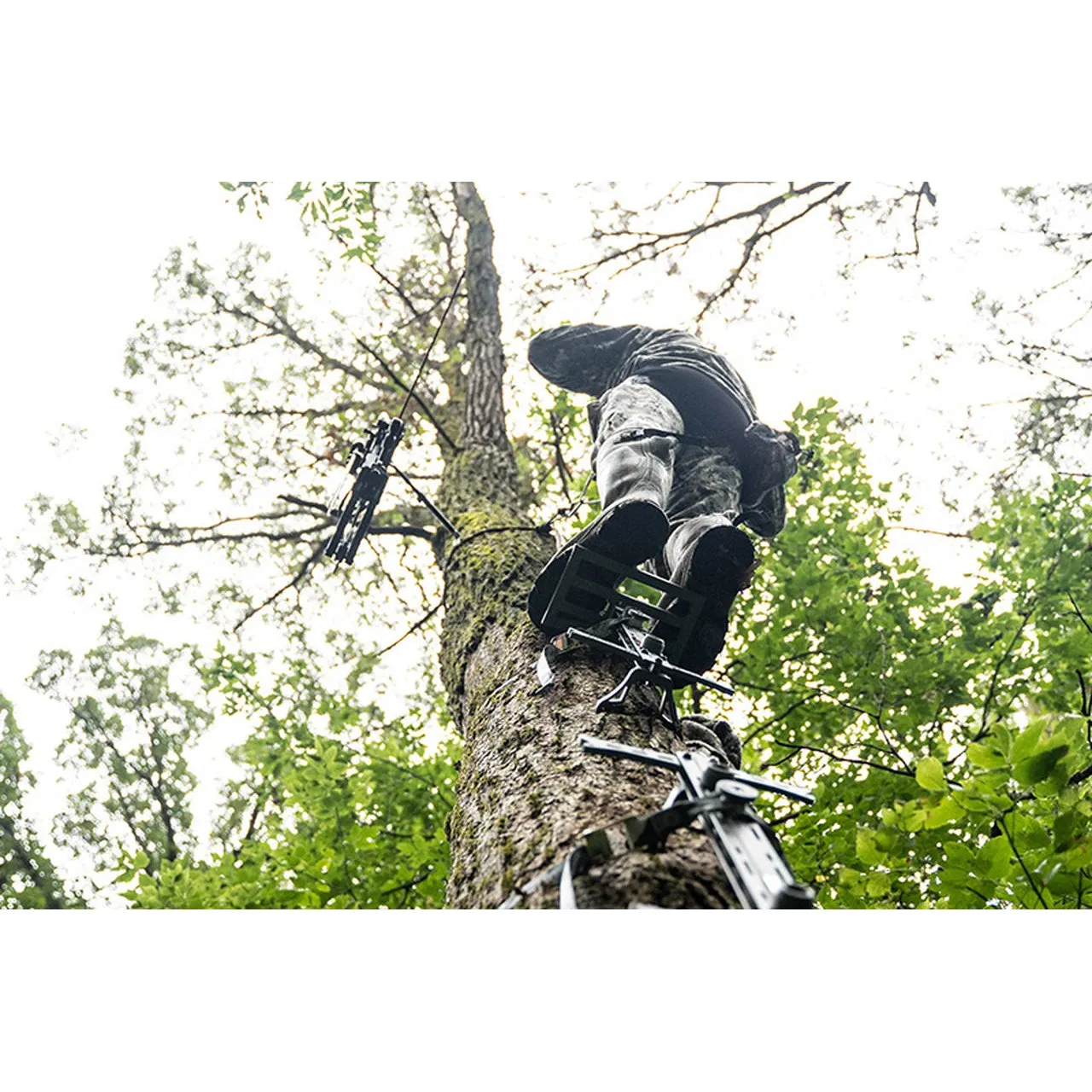 Hawk Helium Hammock Small Platform