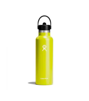HYDRO FLASK 21 OZ STANDARD FLEX STRAW CAP CACTUS