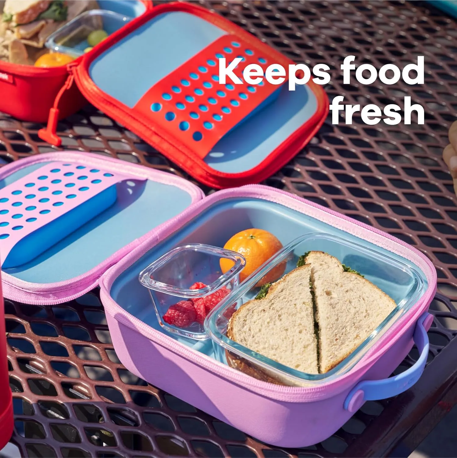 Hydro Flask Kids Small Insulated Lunch Box Goji