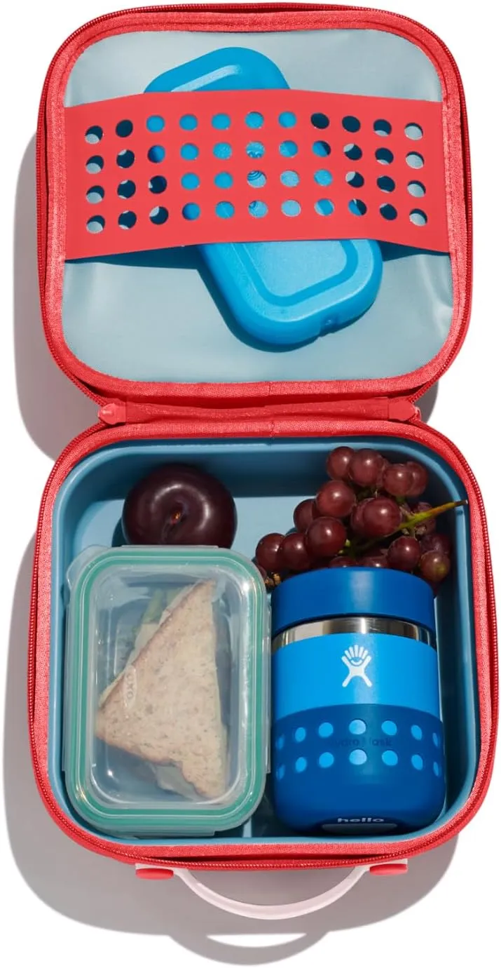 Hydro Flask Kids Small Insulated Lunch Box Goji