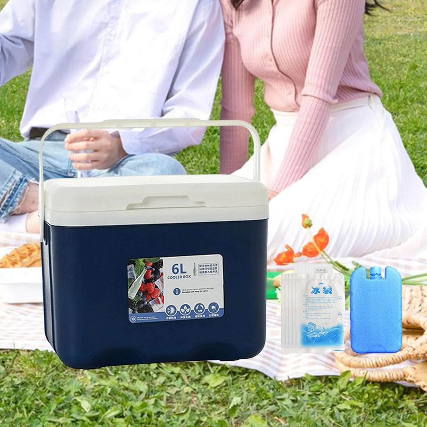 Ice Chest Box, Insulated Cooler, with Handle Portable Personal Cold Case with Ice Pack for Outdoor Camping Kitchen BBQ Picnic