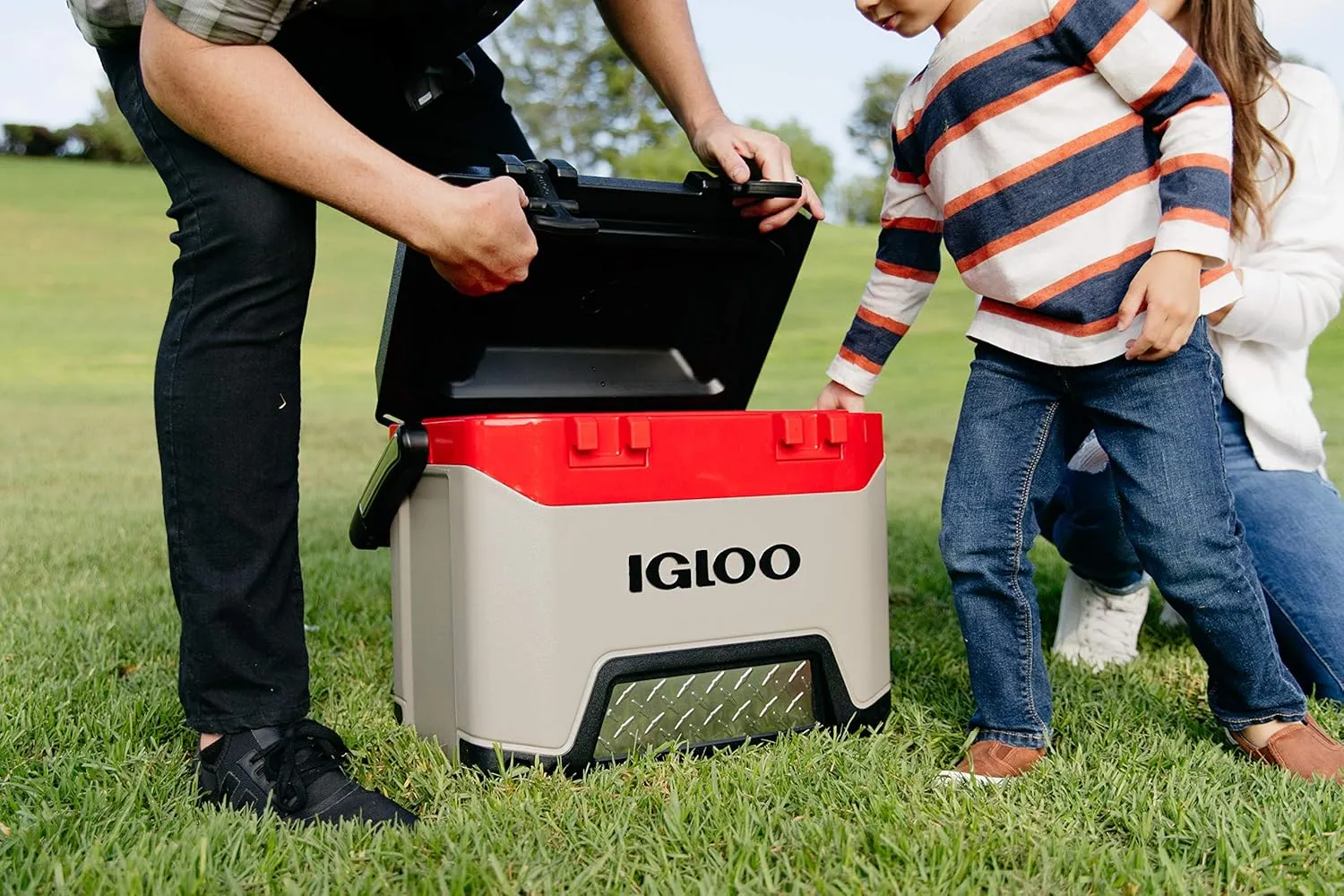Igloo BMX Hard Coolers (25-72QT)
