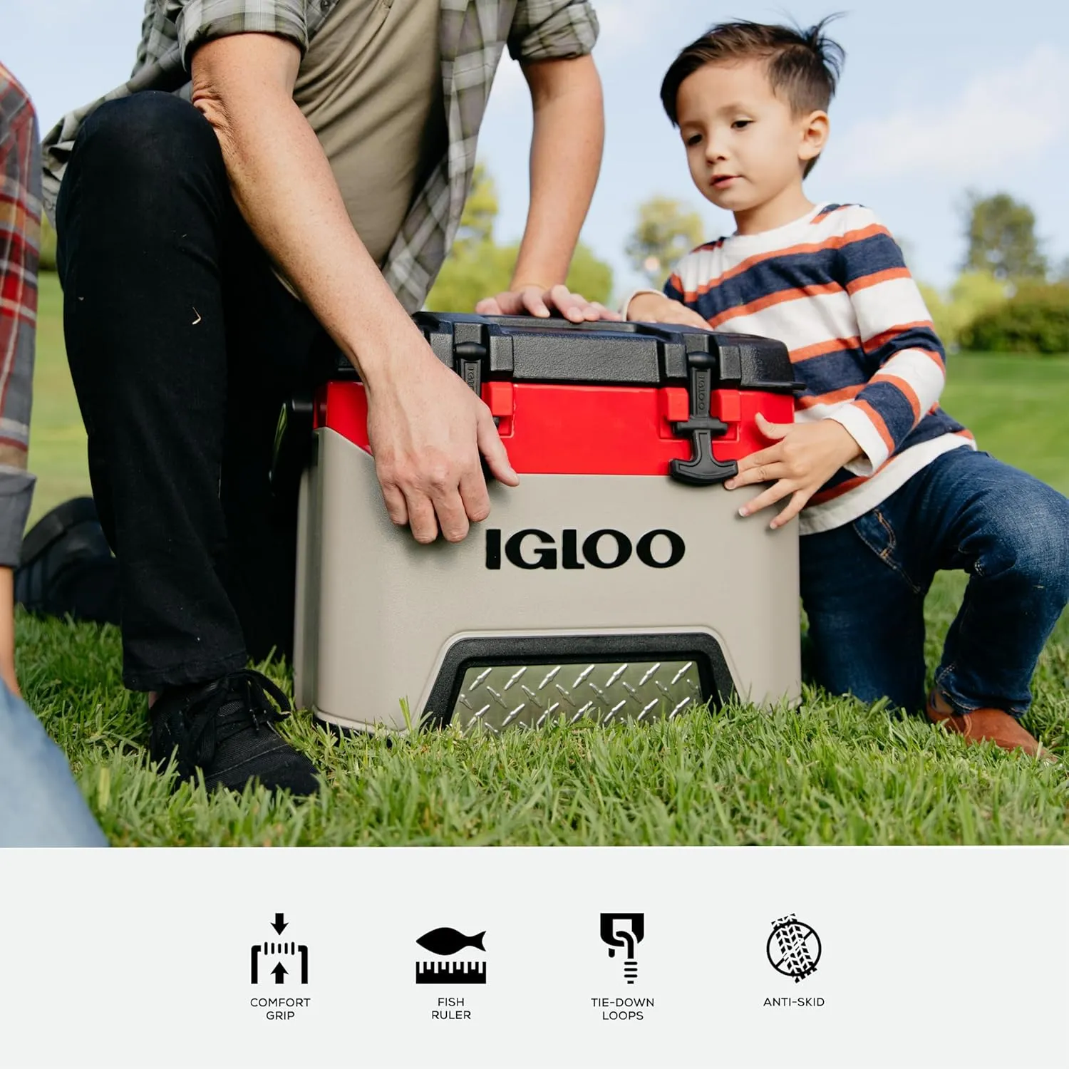 Igloo BMX Hard Coolers (25-72QT)