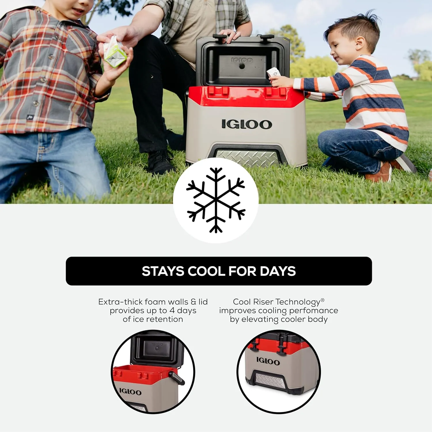 Igloo BMX Hard Coolers (25-72QT)