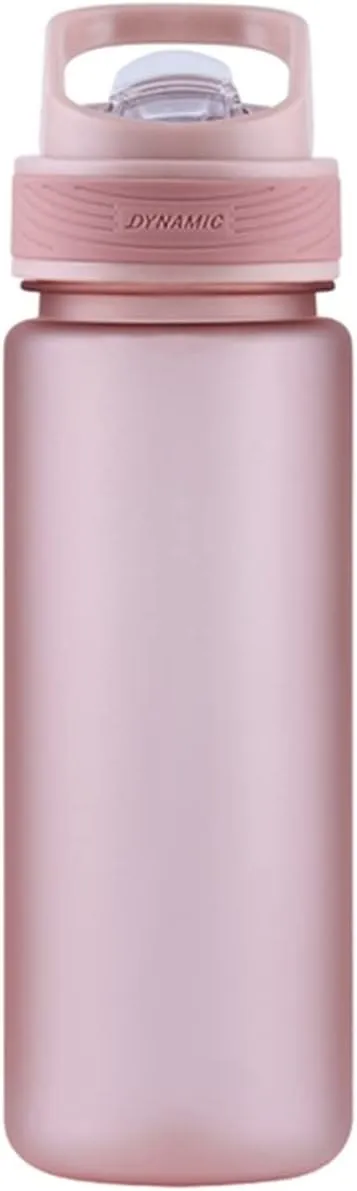 kettles Matte texture Plastic Water Bottle with Straw,Portable Sports Bottles BPA Free,Leakproof Cup Durable,for Fitness,Students Gift canteen(B,Medium)