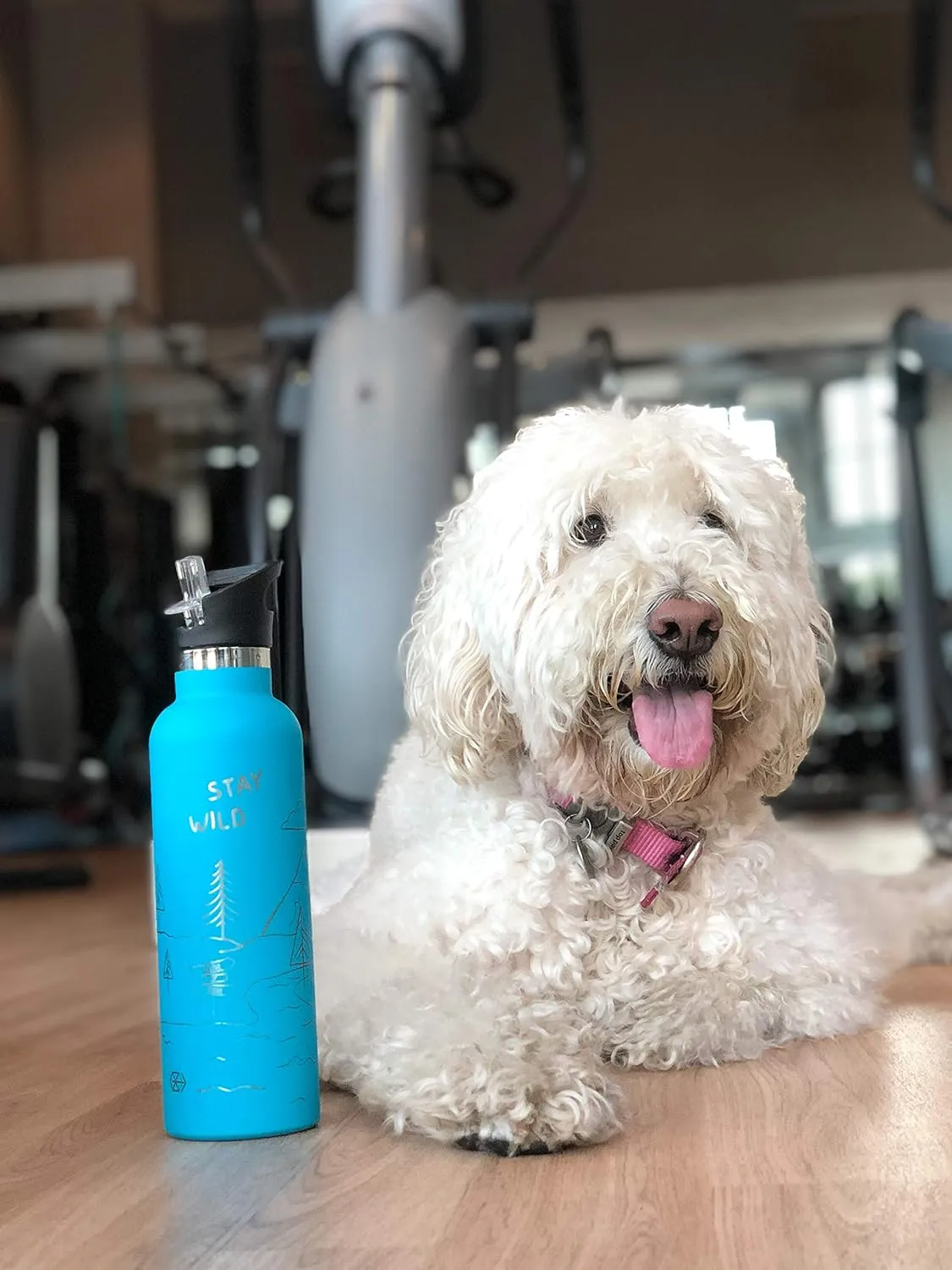 Kids Water Bottle Easy-Sip Straw Lid Leak-Proof Insulated Stainless Steel Thermos Perfect for School & Pickleball 3 Lids BPA-Free Keeps Drinks Cold for 24 Hours