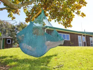 Mexican Chair Hammock - Forest Green