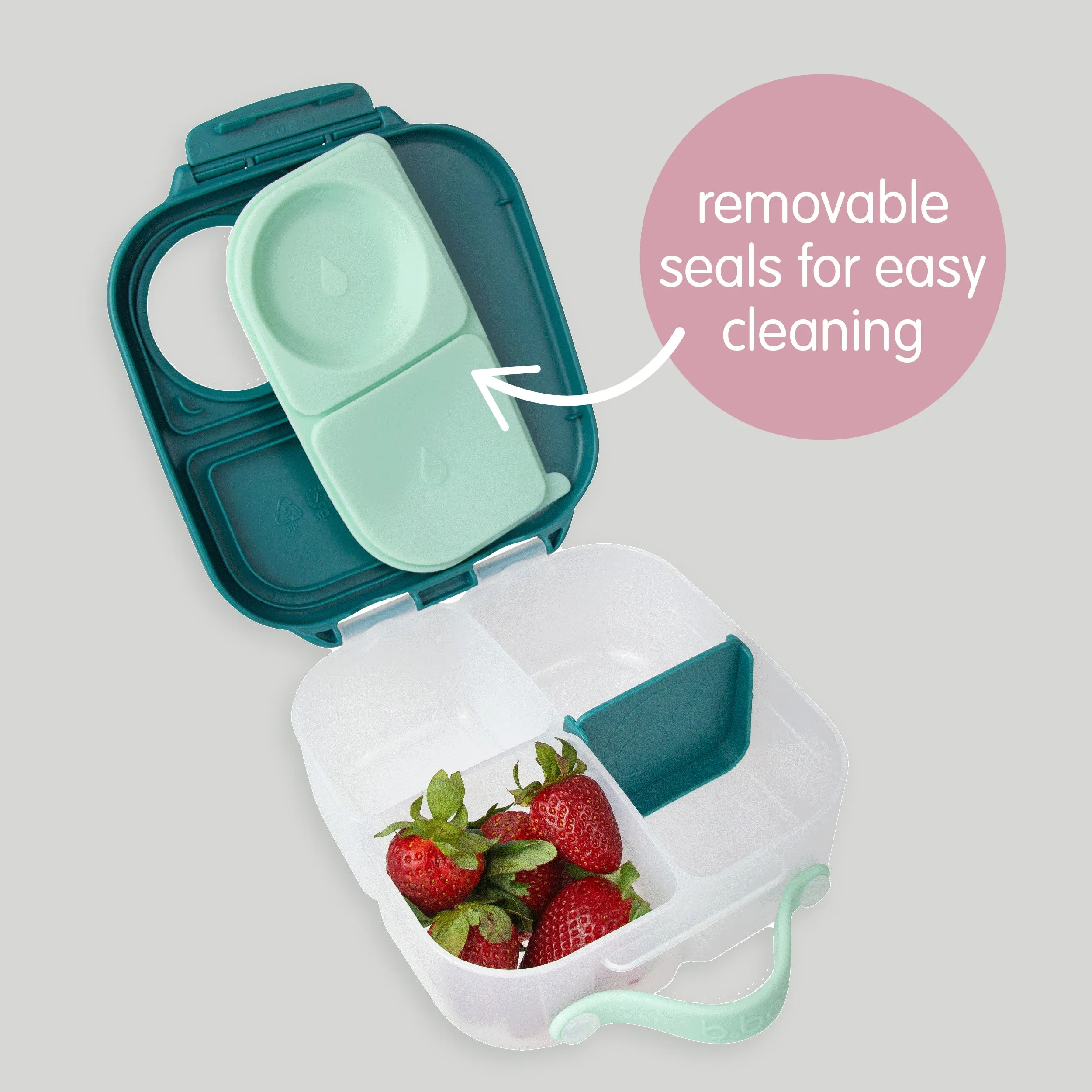 mini lunchbox - blush crush