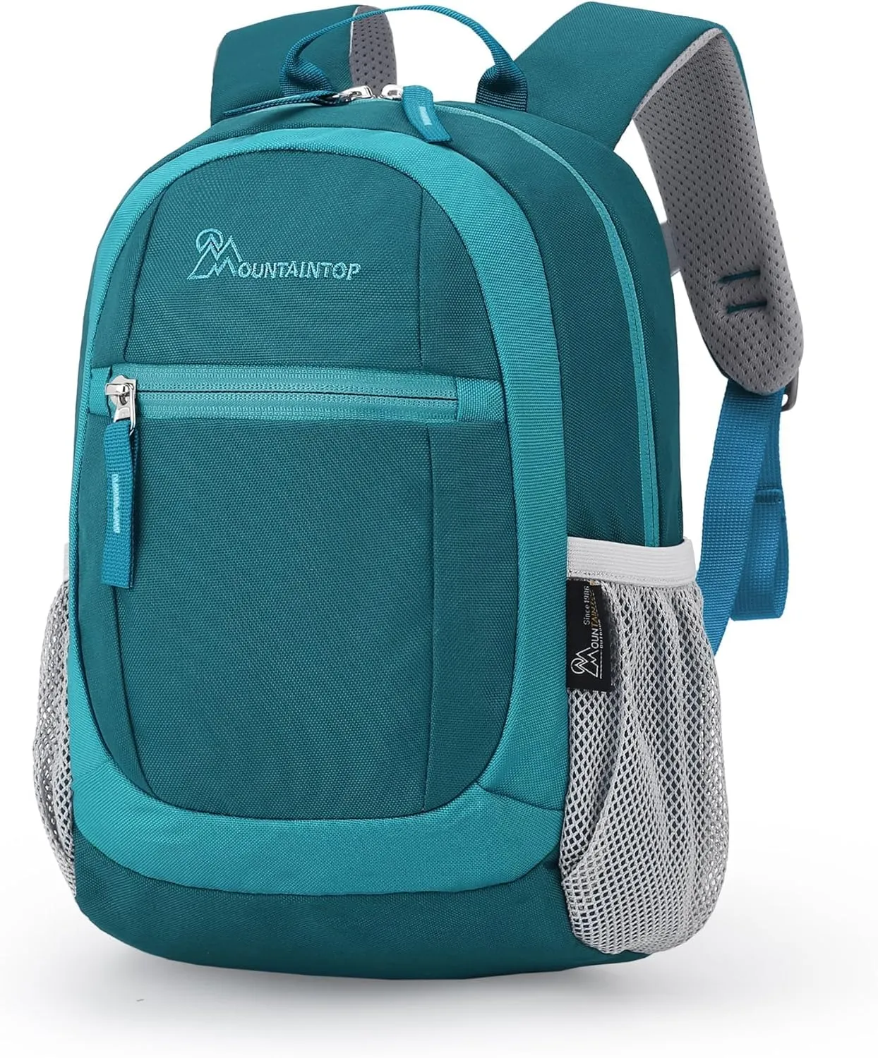 MOUNTAINTOP Kids Toddler Backpack for Boys Girls Preschool Kindergarten Bag