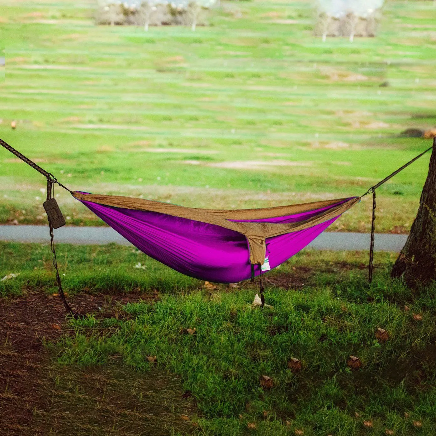 Multi-Purpose Multi-Season and Exclusive options 2-Person Hammock Nylon Safety-assured
