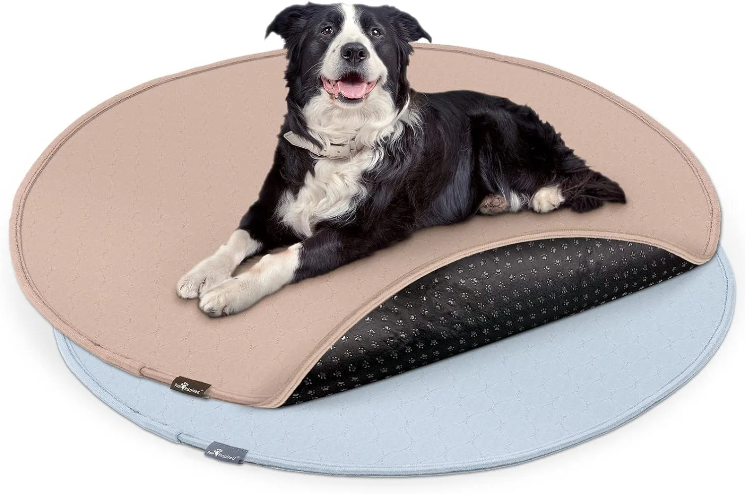 Paw Inspired Round Washable Pee Pads for Dogs (2 Pack) | Reusable Puppy Pads for Potty Training, Whelping, Waterproof Mat | Leakproof, Non-Slip Liners (48" Size, Pack of 2)