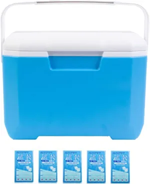 Portable Cooler Box, 6L Insulated Hard Ice Box, Lightweight Leakproof Large Capacity Outdoor Camping Cooler with Heavy Duty Handle, Leakproof Design for Camping, Picnic, BBQ