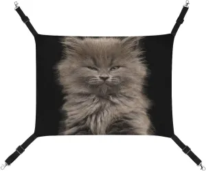 Portrait of Gray Kitten Hanging Cat Bed Soft Breathable Pet Hammock for Cage Pet Sleeper for Kitten Ferret Puppy Rabbit