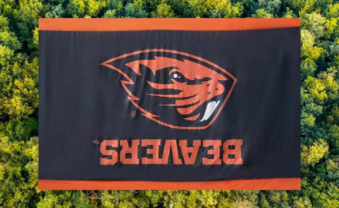 Rincon Official (Oregon State University) University College Hammock - Premium 210T Nylon, Spacious 112 x 74 inches (LxW) Double & Single Camping Hammock - Portable Gear for Students and Alumni