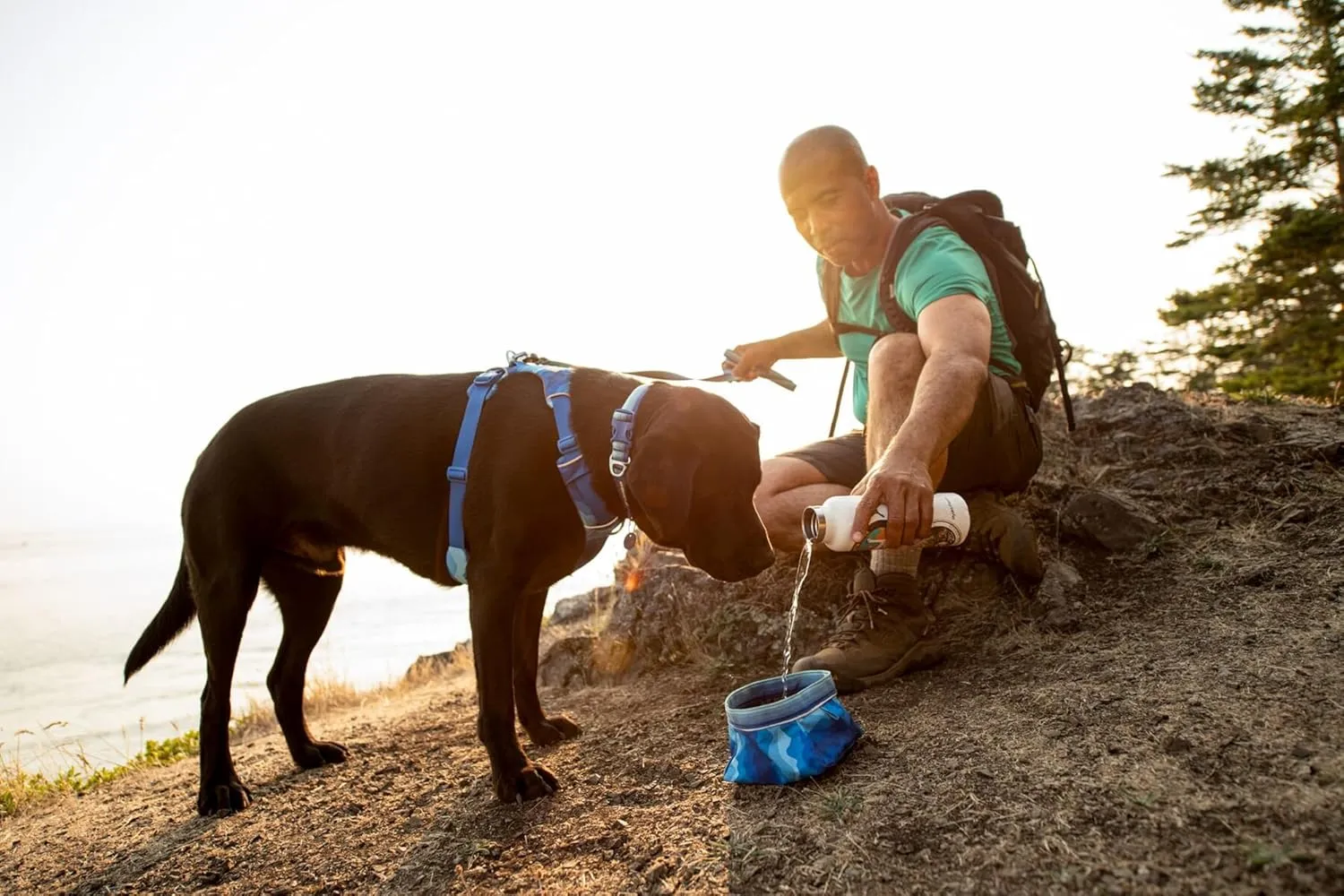 Ruffwear, Quencher Dog Bowl, Collapsible, Portable Food and Water Bowl, Coastal Mountains, Medium