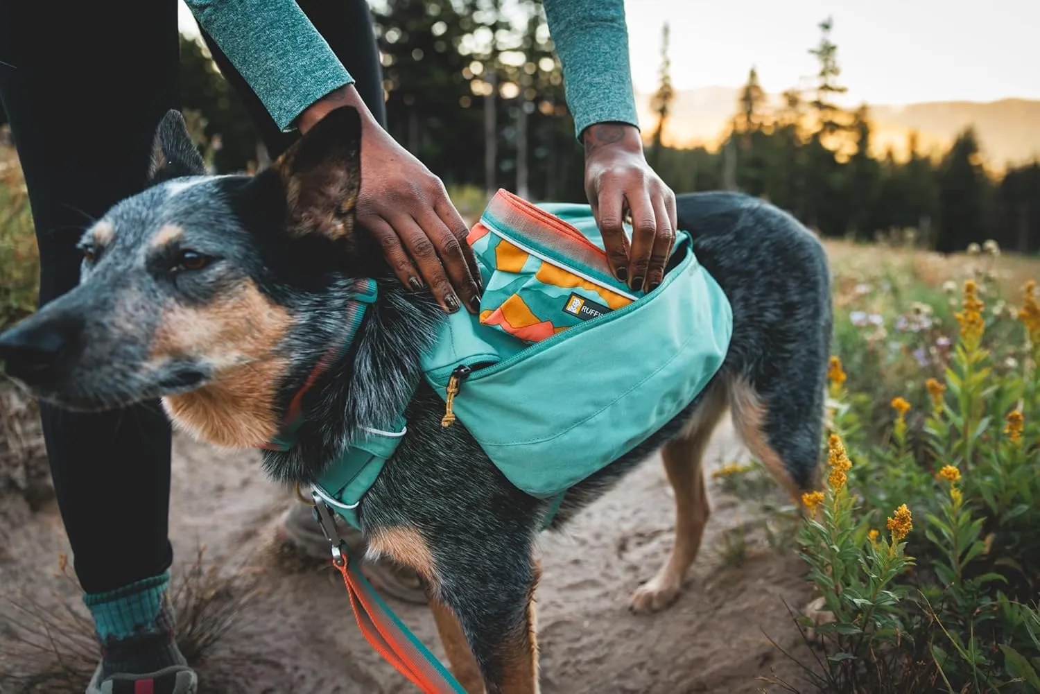 Ruffwear, Quencher Dog Bowl, Collapsible, Portable Food and Water Bowl, Coastal Mountains, Medium