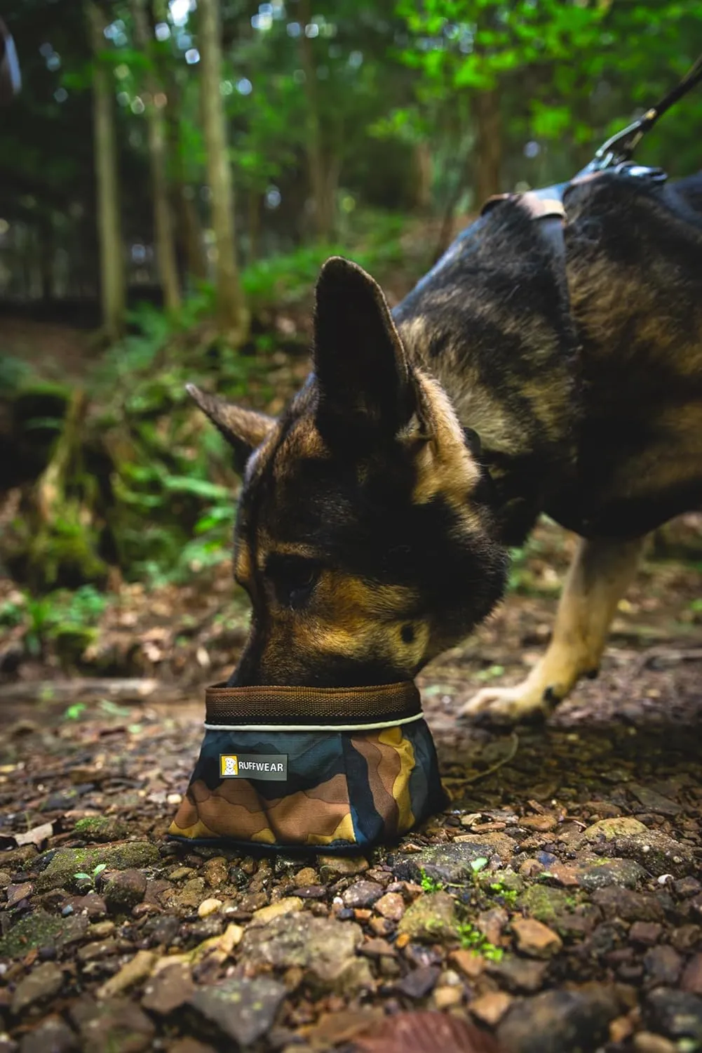 Ruffwear, Quencher Dog Bowl, Collapsible, Portable Food and Water Bowl, Coastal Mountains, Medium