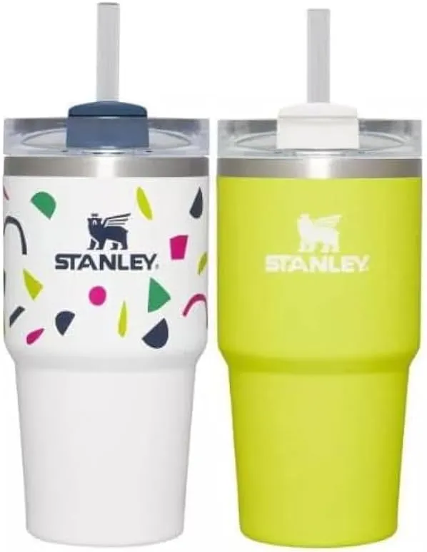 STANLEY 2pk 20oz Stainless Steel H2.0 Flowstate Quencher Tumblers San Valentine gift