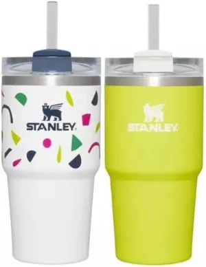 STANLEY 2pk 20oz Stainless Steel H2.0 Flowstate Quencher Tumblers San Valentine gift