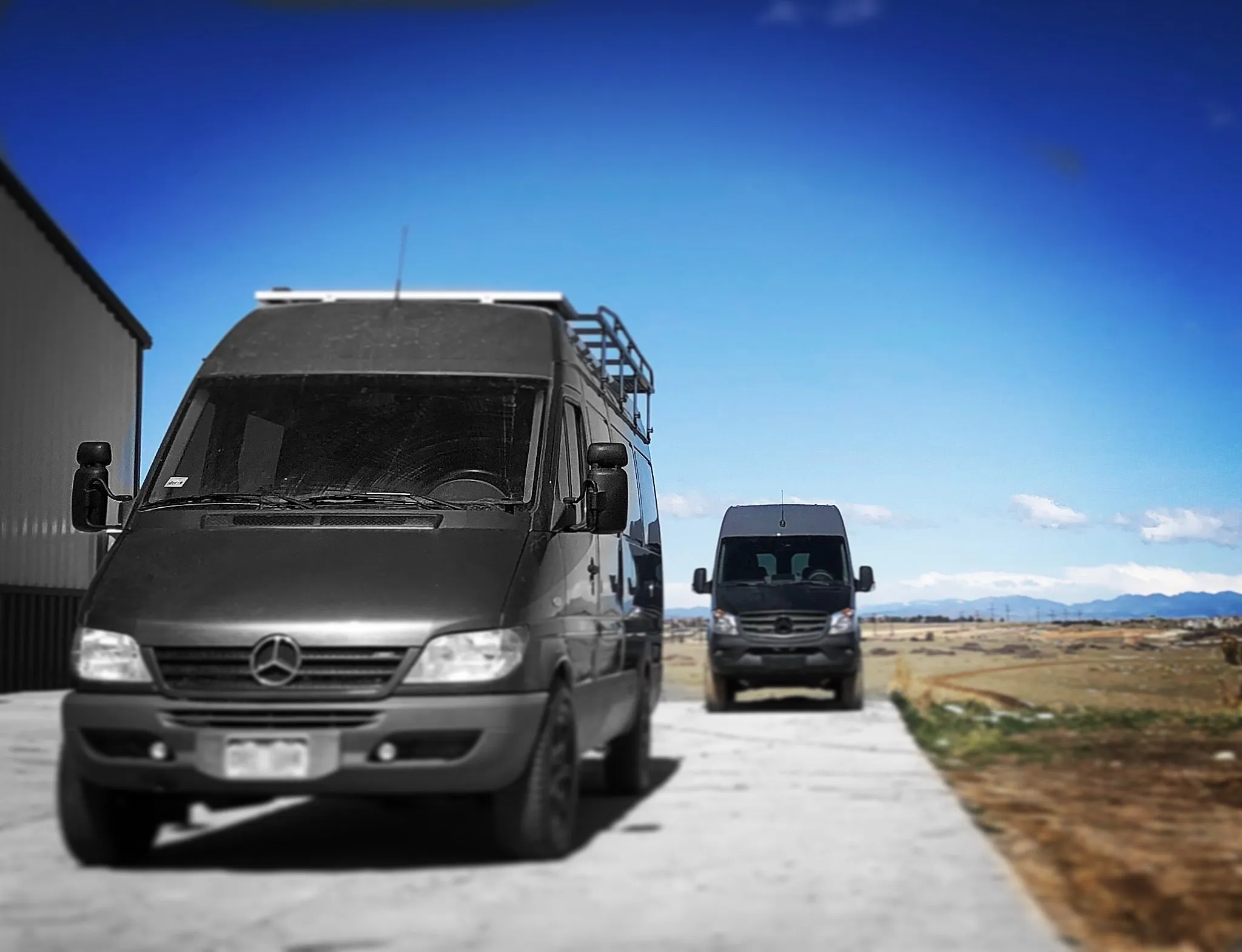 Van Hammock